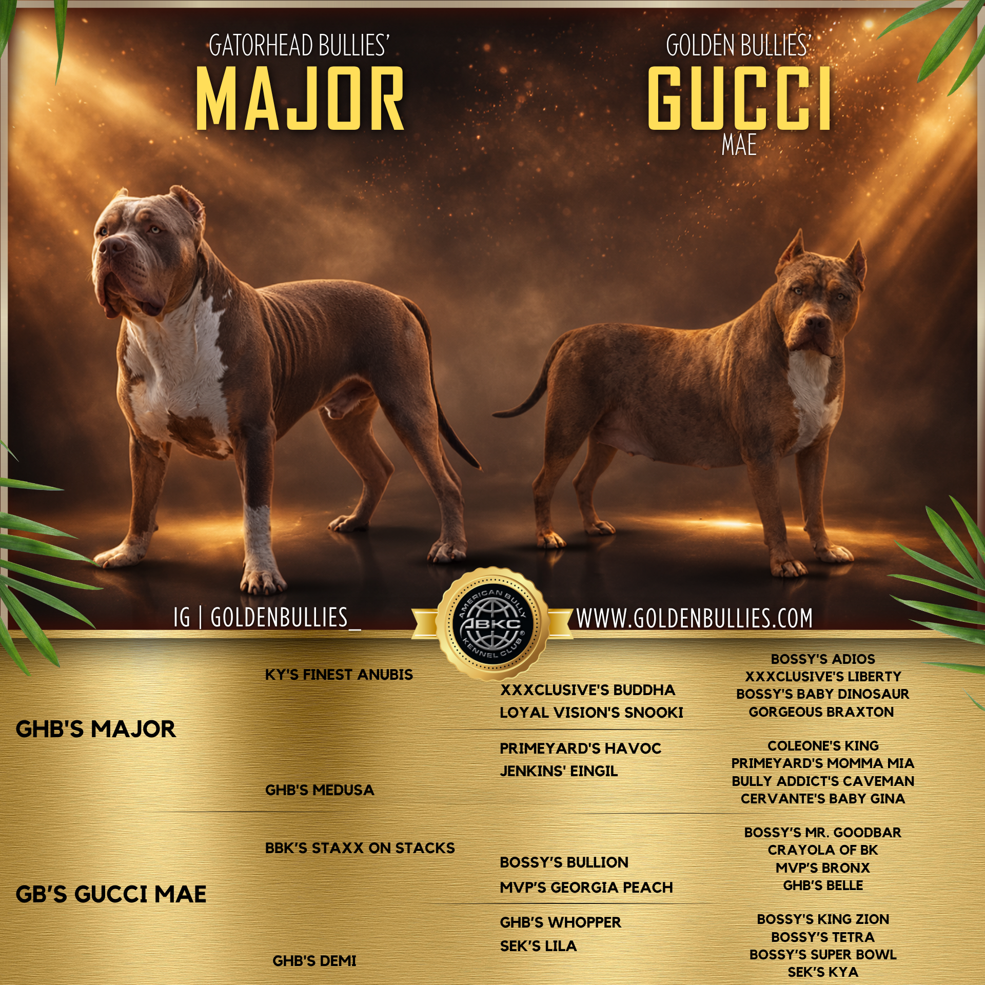 Golden Bullies Major & Gucci Banner